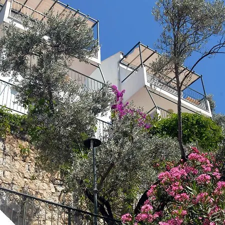 Serena Suites