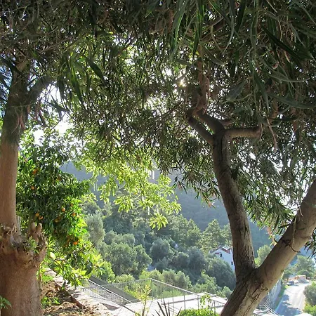 Serena Suites 3* Marmaris