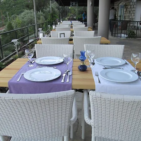 Serena Suites
